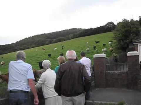 Wales 2009 Vlog