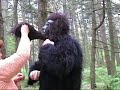 Making Off (Sjarel is weg)