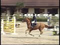 gp tres chaud. debut sur les grosses �preuves.premiers concours du cavalier avec ce cheval.
