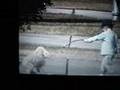 Witness of SAPD Brutality Becomes Their Mobbing Victim  Pt 1