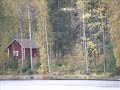 syyslaulu - h�stvisa (erna tauro & tove jansson)
kotimatka pitk� niin, ei vastaantulijaa.  
illat sammuvat kylm��n h�m�ryyteen.
jo tule lohduttamaan, synkk� mieli pujahtaa
syksyiltani yksin�isyyteen.
 
kas, pime�h�n saa sit� ajattelemaan,
mit� muuten ei muistaisi kai lainkaan.
nyt muistan miten paljon m� tehd� tahdoinkaan,
miten v�h�n siit� aikaan m� sainkaan. 

kiirehdi rakkain jos rakkaus kutsuu,
p�iv�n ei hetket niin pitki� lie.
suo valon sytty�, y� kohta saapuu,
pois kes�n kukkaset syksy vie. 

etsin jotain mit� meilt� unohtunut on,
mink� avullasi l�yt�� m� voisin.
on kes� lyhyt niinkuin haave saavuttamaton
siit� mik� oisi voinut olla toisin. 
    
kai tulet pian ennenkuin pime��n m� j��n
- eih�n kaikki kai ole mennyt hukkaan.
jos l�yt�isimme toisemme, silloin ehk� n��n
keinon jolla kaiken viel� saamme kukkaan. 

kiirehdi rakkain jos rakkaus kutsuu, 
p�iv�n ei hetket niin pitki� lie. 
suo valon sytty�, y� kohta saapuu, 
pois kes�n kukkaset syksy vie. 

syksyn tuuli mukanaan vie kes�n muistotkin, 
nyt jo turhaan s� kysyt minne viek��n. 
nyt rakastan kai enemm�n kuin ennen rakastin, 
viel� enemm�n kuin koskaan saat tiet��. 

nyt majakat me n��mme kun myrskyt raivoaa, 
tuuli vaahtop�inen ��nen t�nne kantaa 
- ja t�rkeint� on syd�memme ��nt� noudattaa 
ja kaikkemme toisillemme antaa. 

kiirehdi rakkain jos rakkaus kutsuu, 
p�iv�n ei hetket niin pitki� lie. 
suo valon sytty�, y� kohta saapuu, 
pois kes�n kukkaset syksy vie.

(levytt�neet: bo andersson, marjatta lepp�nen, cumulus)