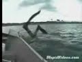 Stupid Human Tricks
