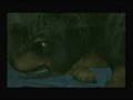 Trailer VideoGame Harry Potter Sorcerer's Stone