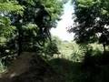 Dirt Jump Session
