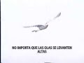 no importa