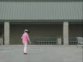 (Adult Swim Bump) Pink Lady (Full Song)