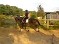 Trab und Galopp