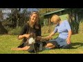 Animal rescue - orphaned wild animals - BBC wildlife