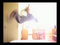Frist-BackFlip