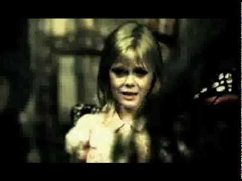 Maximum Ride Trailer