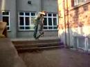 jeroen pop shove-it 3-set jeroen pop shove-it 3-set
