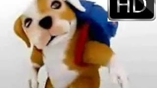 Perro chacarron macarron y sus amigos videos canciones infantiles en espanol para ninos