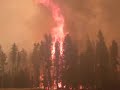 Cascade Firecamp Wildfire