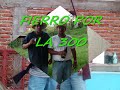 LOS CHARQUEROS DEL PASO, COTIJA