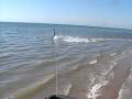 videos de WAKEBOARDING BEHIND RENTAL TRUCK (CHAPO)