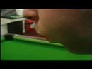 Pool Shark Pool Shark