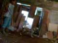videos de El perro colgante