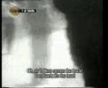BRUJERIA LA MIGRA
