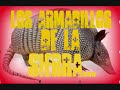 los armadillos de la sierra  ♣♣ Los 3 Finados.♣♣