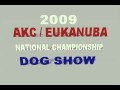 2009 AKC Eukanuba Commercial Contest