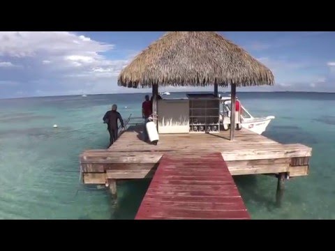 Plongée à FAKA