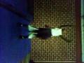 videos de gimnasia 5