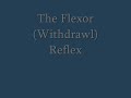 Flexor (Withdrawl) Reflex