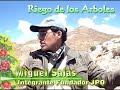 www.jovenesprogresistas.tk jovenes progresistas riego de los arboles 06 de abril 2008
