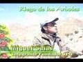 www.jovenesprogresistas.tk jovenes progresistas riego de los arboles 06 de abril 2008