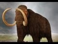 14 Species That Cloning Could Resurrect