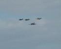patrouille