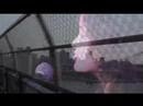 Kirsten Price: Freedom Music Video