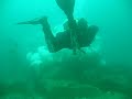 peewee diving