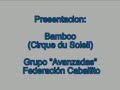 Patin Federacion Caballito - Bamboo -