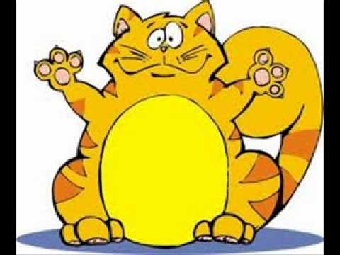 Cool Cat Count! Cool Cat Count!