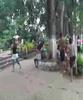 ATECOZOL ,SONSONATE