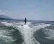 Wakeboad