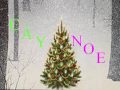 CAYNOEL_wmv.wmv
