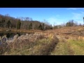Heath Detweiler has 9 beautiful country acres for sale in Stockport, Ohio offering a large pond and gorgeous homesite. Owner financing is available with a low down payment. I have several other properties for sale in southeastern Ohio as well as northeastern Ohio. Call me today at 330-606-2465 or email at heath.acreageinv@gmail.com to learn more about the properties for sale or to schedule a viewing.