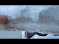 ЛЕКАРСТВО ОТ СОСУЛЕЙ