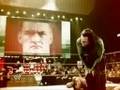 WWE Mobile  Smackdown Rebound