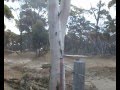 kukerin creekbed racing championships - Mat
