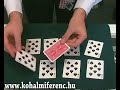 Kőhalmi Ferenc - Wild Cards