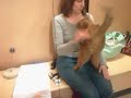 Diesel-Animal Coalition of Delaware County