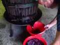 The 2007 wine harvest -Italy The 2007 wine harvest -Italy