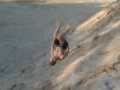 Akro (Trening Akro teamu Parkour Forever)