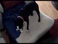 Assistir ao v�deo