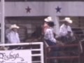 graphic    criminal horse abuse at oklahoma prison rodeo