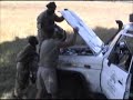 Elephant Attack
