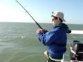 videos de 100 Lb Tarpon Crazy Jumps and Catch